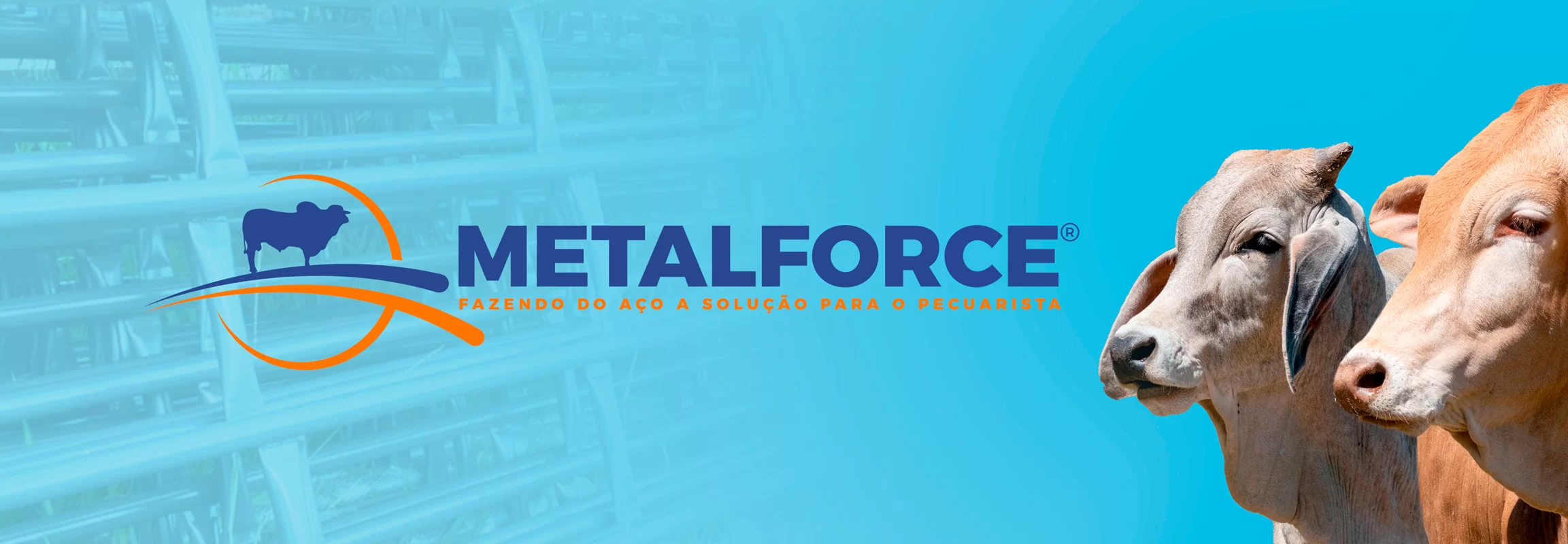 4BANNER_SITE_METALFORCE2